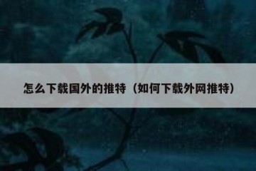 怎么下载国外的推特（如何下载外网推特）