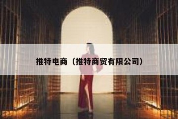 推特电商（推特商贸有限公司）