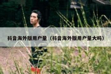 抖音海外版用户量（抖音海外版用户量大吗）