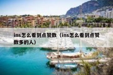 ins怎么看到点赞数（ins怎么看到点赞数多的人）