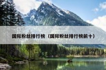 国际粉丝排行榜（国际粉丝排行榜前十）