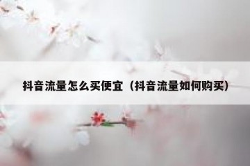 抖音流量怎么买便宜（抖音流量如何购买）