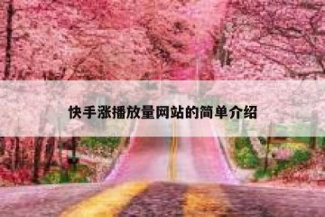 快手涨播放量网站的简单介绍