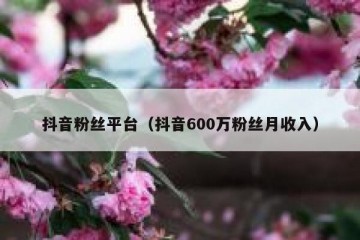 抖音粉丝平台（抖音600万粉丝月收入）