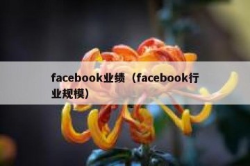 facebook业绩（facebook行业规模）