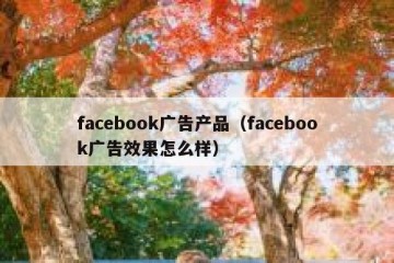 facebook广告产品（facebook广告效果怎么样）