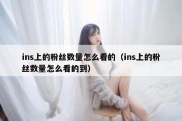 ins上的粉丝数量怎么看的（ins上的粉丝数量怎么看的到）