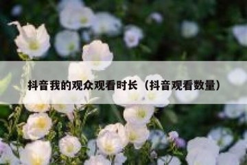 抖音我的观众观看时长（抖音观看数量）