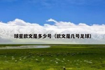 球星欧文是多少号（欧文是几号足球）