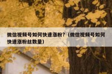 微信视频号如何快速涨粉?（微信视频号如何快速涨粉丝数量）