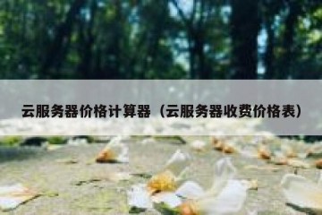 云服务器价格计算器（云服务器收费价格表）