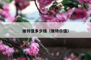 推特值多少钱（推特价值）