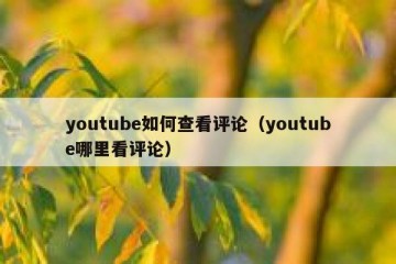 youtube如何查看评论（youtube哪里看评论）