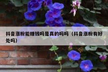 抖音涨粉能赚钱吗是真的吗吗（抖音涨粉有好处吗）