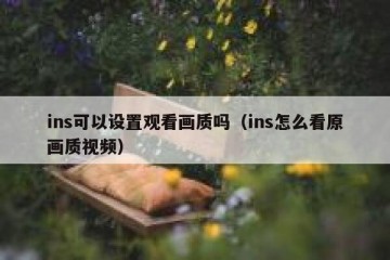 ins可以设置观看画质吗（ins怎么看原画质视频）