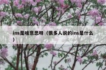 ins是啥意思呀（很多人说的ins是什么）