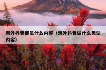 海外抖音都是什么内容（海外抖音做什么类型内容）