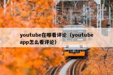 youtube在哪看评论（youtubeapp怎么看评论）