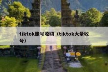 tiktok账号收购（tiktok大量收号）