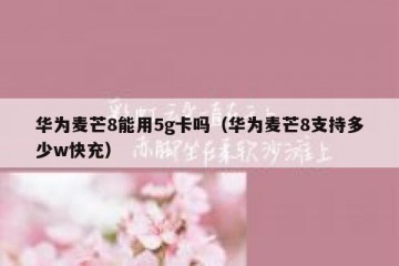 华为麦芒8能用5g卡吗（华为麦芒8支持多少w快充）