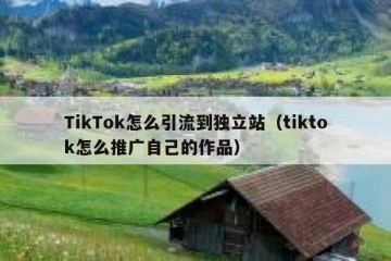 TikTok怎么引流到独立站（tiktok怎么推广自己的作品）