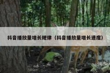 抖音播放量增长规律（抖音播放量增长速度）