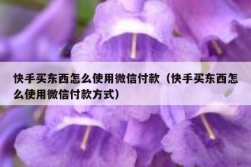 快手买东西怎么使用微信付款（快手买东西怎么使用微信付款方式）