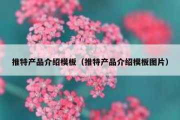 推特产品介绍模板（推特产品介绍模板图片）