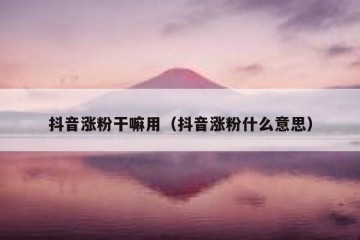 抖音涨粉干嘛用（抖音涨粉什么意思）