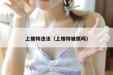 上推特违法（上推特被抓吗）