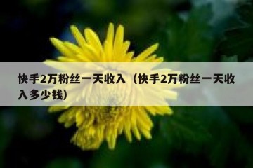 快手2万粉丝一天收入（快手2万粉丝一天收入多少钱）