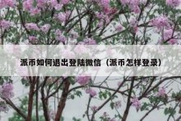 派币如何退出登陆微信（派币怎样登录）