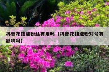 抖音花钱涨粉丝有用吗（抖音花钱涨粉对号有影响吗）