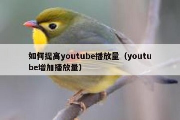 如何提高youtube播放量（youtube增加播放量）