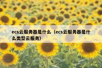 ecs云服务器是什么（ecs云服务器是什么类型云服务）