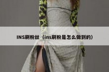 INS刷粉丝（ins刷粉是怎么做到的）