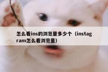 怎么看ins的浏览量多少个（instagram怎么看浏览量）