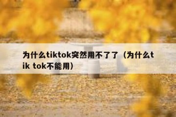 为什么tiktok突然用不了了（为什么tik tok不能用）