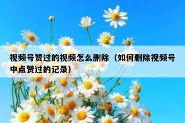 视频号赞过的视频怎么删除（如何删除视频号中点赞过的记录）