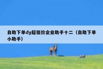 自助下单dy超低价企业助手十二（自助下单小助手）