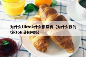 为什么tiktok什么都没有（为什么我的tiktok没有网络）