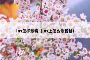 ins怎样涨粉（ins上怎么涨粉丝）
