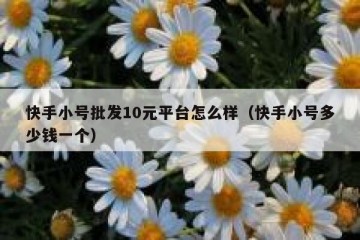 快手小号批发10元平台怎么样（快手小号多少钱一个）