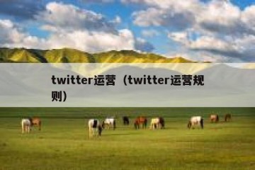 twitter运营（twitter运营规则）