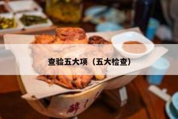 查验五大项（五大检查）