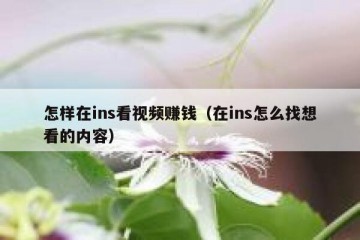 怎样在ins看视频赚钱（在ins怎么找想看的内容）