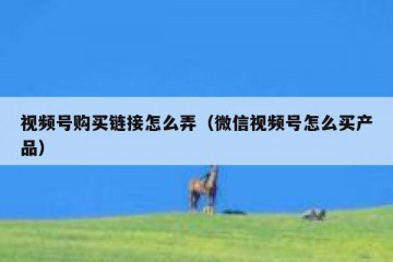 视频号购买链接怎么弄（微信视频号怎么买产品）