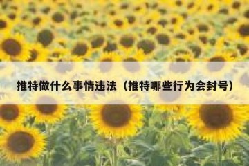 推特做什么事情违法（推特哪些行为会封号）