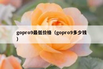 gopro9最低价格（gopro9多少钱）