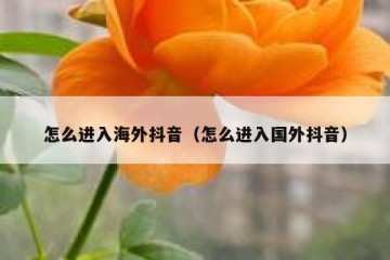 怎么进入海外抖音（怎么进入国外抖音）